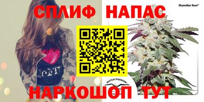 a pvp Обнинск
