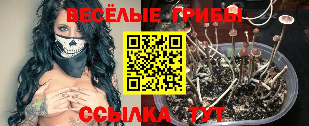 Мефедрон Соль-Илецк