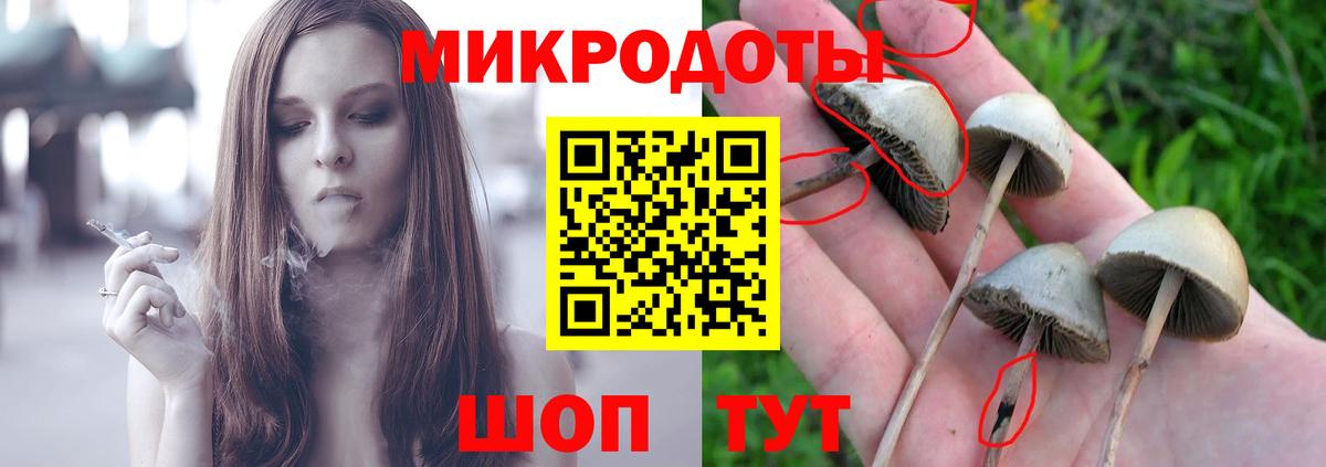 Галлюциногенные грибы Psilocybine cubensis  Псилоцибиновые грибы прущие грибы  Соль-Илецк  Вход с VPN 